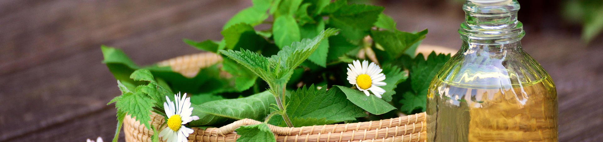 herbs-5145166_1920
