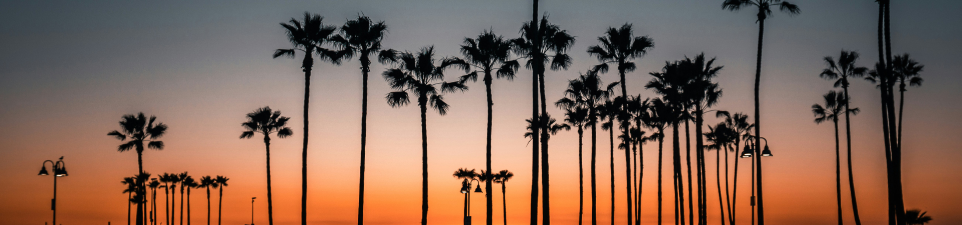 sebastian-banasiewcz-pERCUe02B4I-unsplash